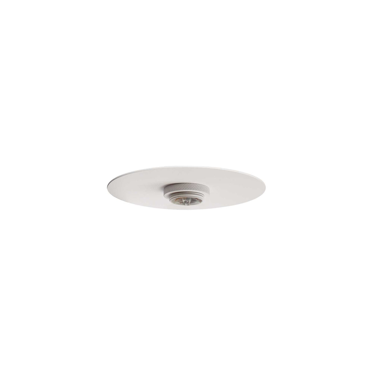 Eclectic Harmony White Plate Design