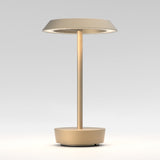 Radiant Elegance: Light Bronze Halo Lamp