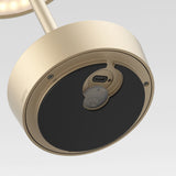 Radiant Elegance: Light Bronze Halo Lamp