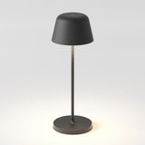 Wanderer Lamp in Textured Ebony