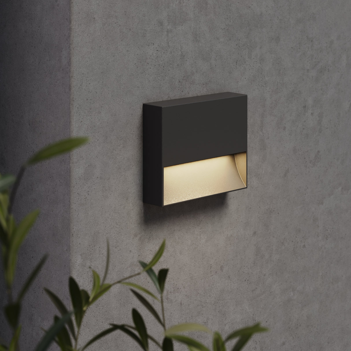 Mori Radiance Wall Lamp