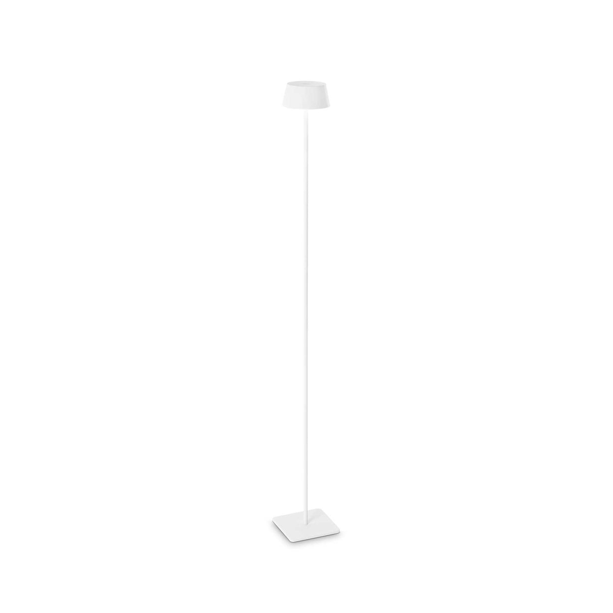 Elegant White Illumination Lamp