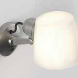 Bronze Imari Pivoting Wall Sconce