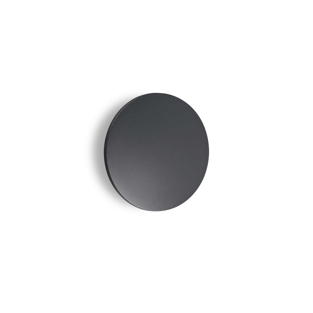 Anthracite D30 Wall Sconce Light Fixture