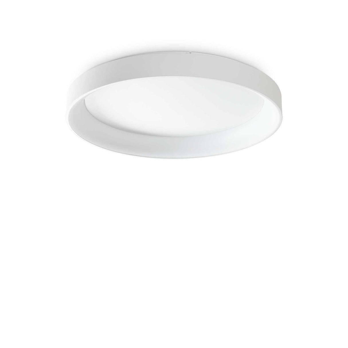 Minimalist White Ceiling Disc Light