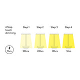 Bliss Illumination: Portable Halo Lamp in Matte White