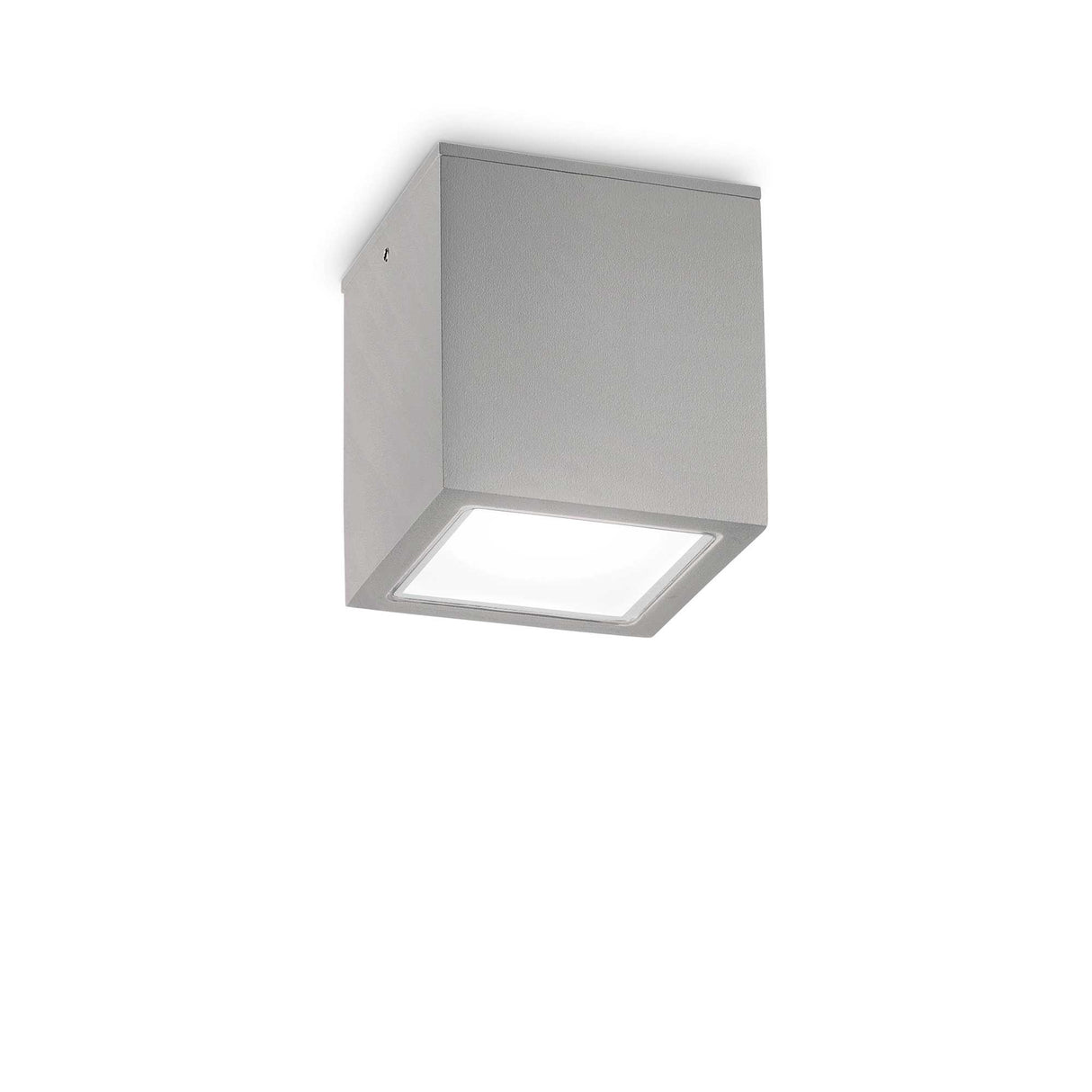 Elegance in Grey: TECHO One-Bulb Ceiling Luminaire