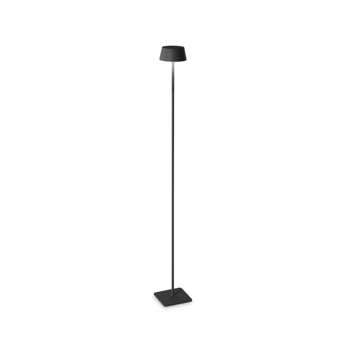 Obsidian Noir Lamp