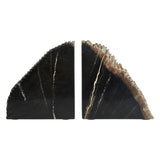 Relic Petrified Wood Bookend