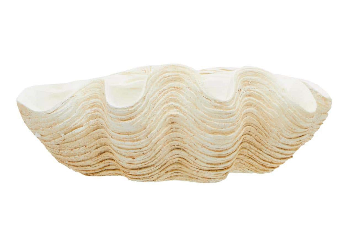 Clanbay Byron Large Clam Shell Bowl – ideas4lighting
