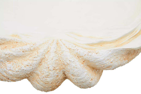 Byron Large Clam Shell Bowl