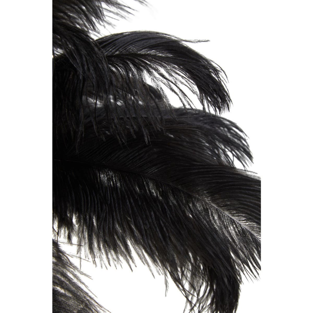 Zendaya Black Ostrich Feather Table Lamp