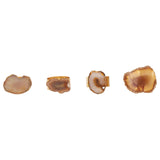 Bowerbird Agata Natural / Gold Napkin Rings