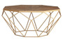 Jodi Octagonal Wooden Coffee Table with Gold Frame