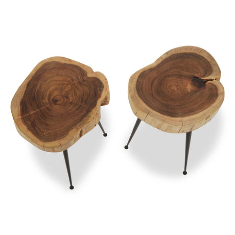 Nandri Set Of 2 Acacia Wood Side Tables