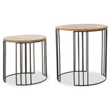 Nandri Set Of 2 Mango Wood Side Tables