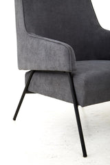 Henia Ash Velvet Chair