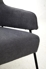 Henia Ash Velvet Chair