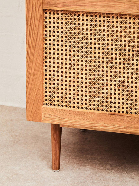 Lyon 2 Door Natural Rattan And Oak Cabinet