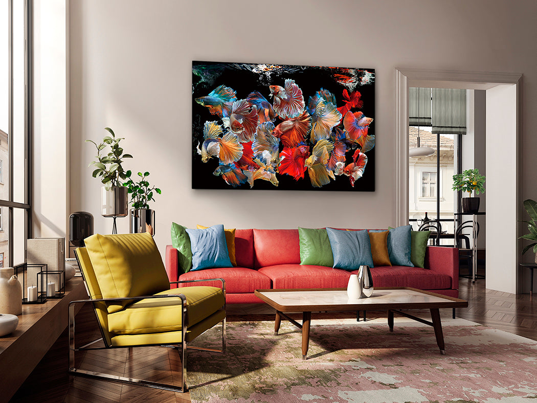 Siamese Fish in Harmony - Panoramic View