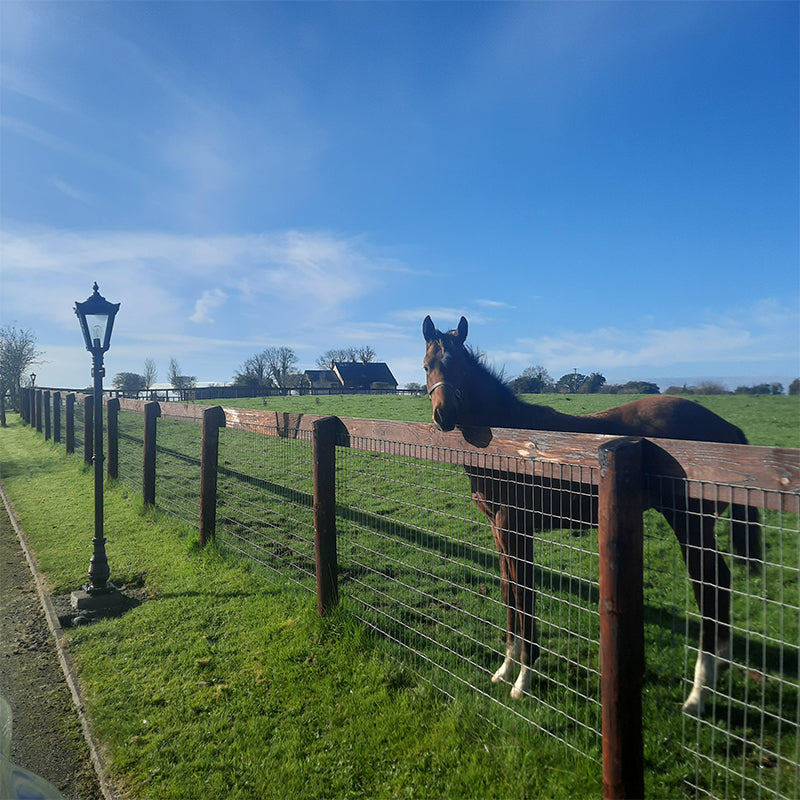 Victorian traditional cast iron lamp post 2.3m (H007)