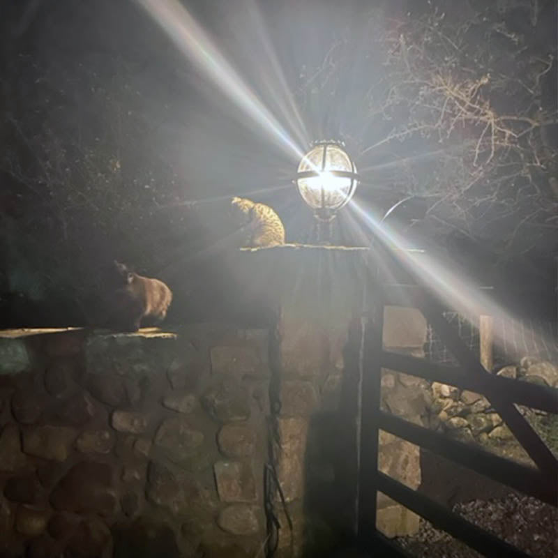 Victorian globe pier light in cast iron for flat pier caps 0.79m (H251)