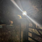 Victorian globe pier light in cast iron for flat pier caps 0.79m (H251)