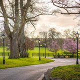 Victorian traditional cast iron lamp post 3m (H801)