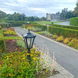 Victorian traditional cast iron pedestal light 1.1m (H008)