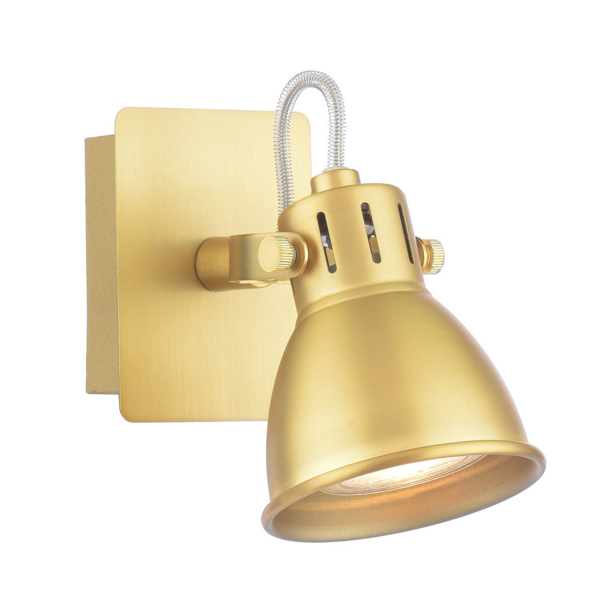Idaho Single Wall Spotlight Natural Brass