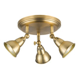 Nathaniel 3 Light Plate Spotlight Aged Brass