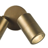Ortega 2 Light Outdoor Wall Light Aged Brass and Glass IP65