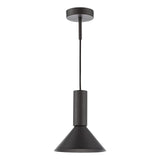 Ragnar Pendant/Wall Light Satin Black