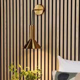 Ragnar Pendant/Wall Light Natural Brass