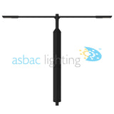 Regent 30W Dual Solar Street Light