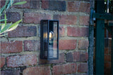 Taryn Outdoor Wall Light Matt Grey Glass IP65