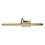 Tyrus 50cm Picture Light Brushed Bronze LED