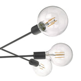 Alana 6 Light Pendant Black