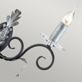 Amarilli Dual-Light Wall Sconce in Black and Silver