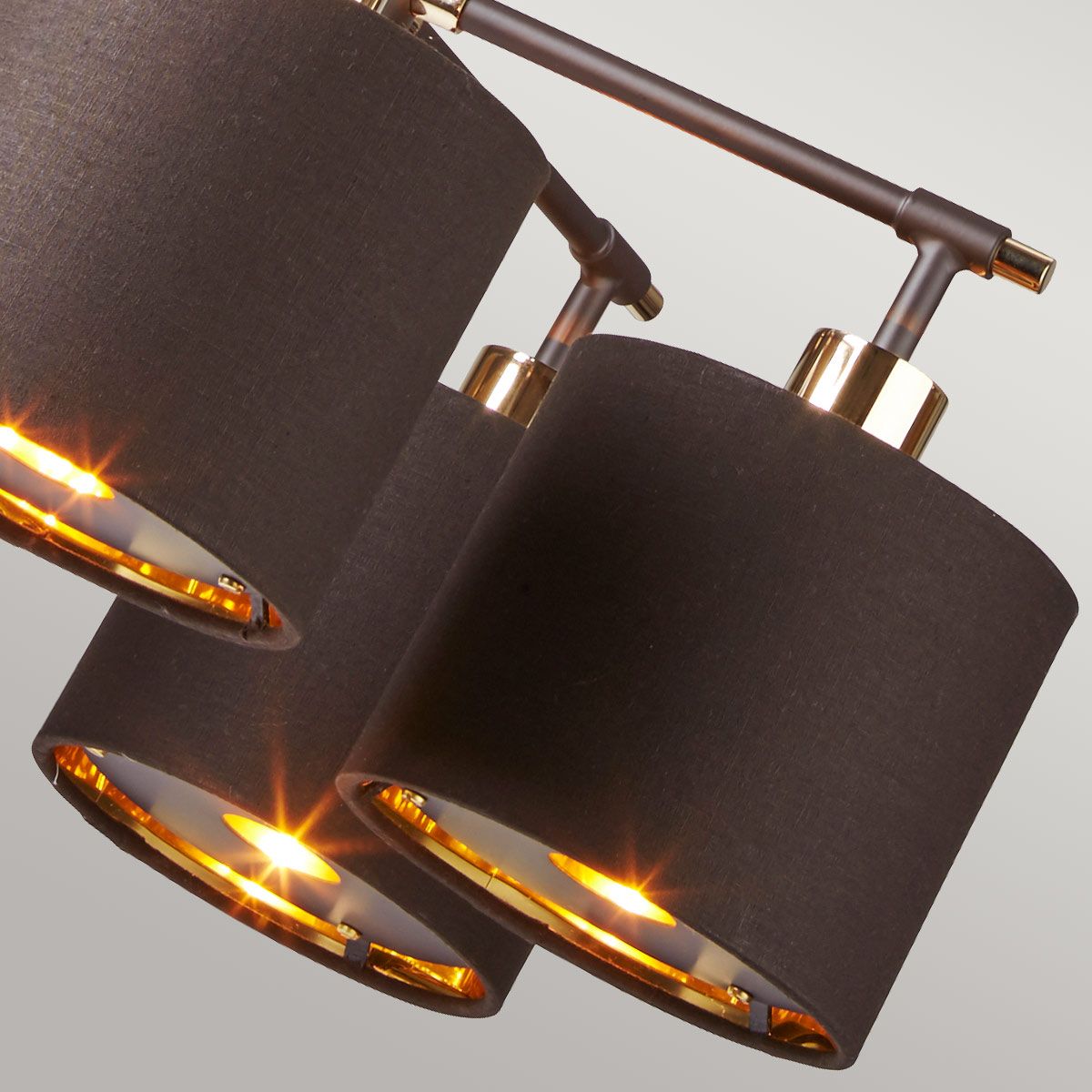 Elegant Balance 5 Light Chandelier in Mocha Brown and Polished Brass