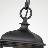 Elegant Black Bayview Outdoor Hanging Lantern