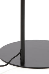 Solna Floor Lamp with Smoked Glass and Matte Black Finish, 45x29.5x160 cm