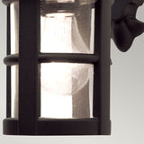 Elegant Black Die-Cast Aluminum Wall Lantern