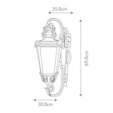 Baltimore Heritage Large Outdoor Wall Lantern