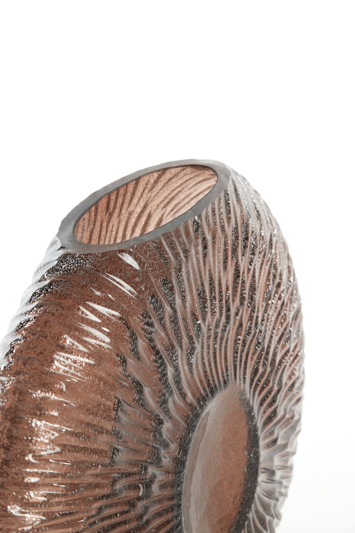 Dark Brown Concha Shell Vase 32.5x10x24 cm
