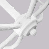 Coastal Elegance 6 Light Chandelier in Plaster White