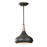Sleek Black and Copper Retro Pendant Light