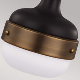 Contemporary Brushed Brass and Matte Black Industrial Pendant Light