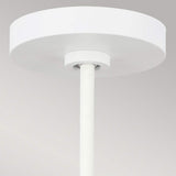 Darwin Pendant Light with Matte White Metal Shade and Natural Wood Accent