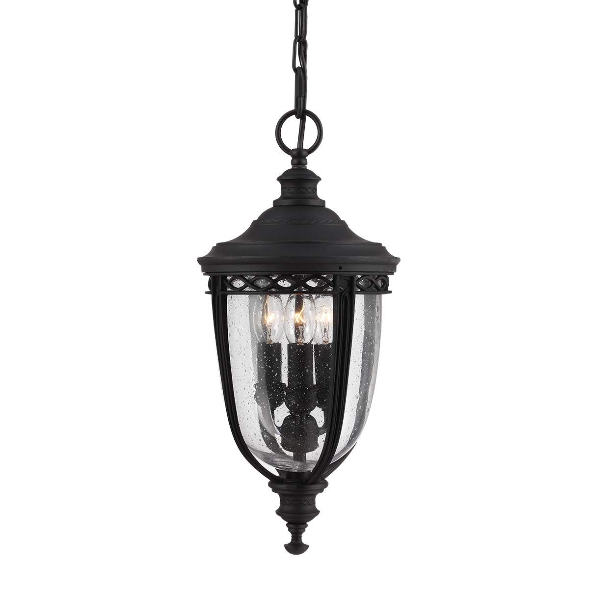 Charming Black English Bridle Hanging Porch Lantern with Seeded Glass